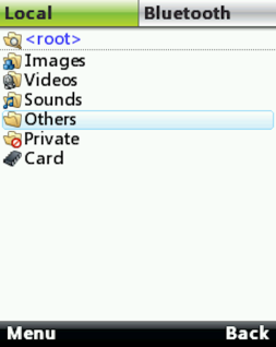 Local files