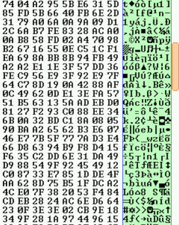 Binary viewer